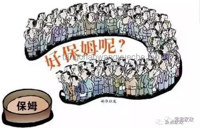 “洒家会些医术，也略懂一些拳脚”：跨领域技能融合在现代社会的应用与价值