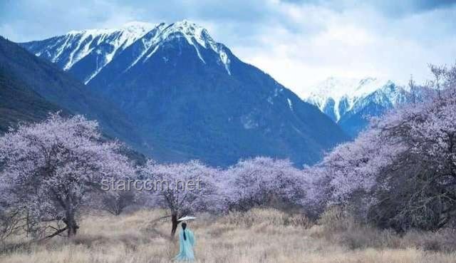 **闭关半年，李子柒现身婺源：一段心灵与自然的深度对话**