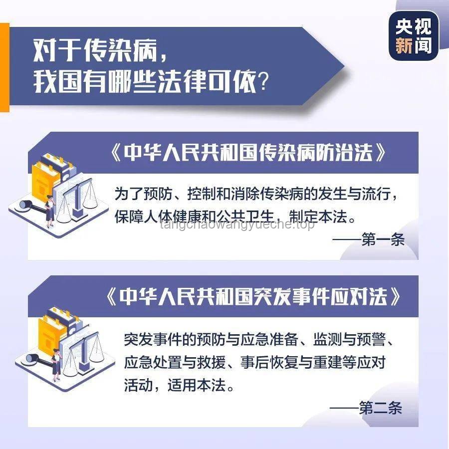 “谁好人进隔离区带个僵尸头啊！！”：疫情下的奇异现象与深层社会心理分析