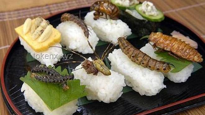 奇葩美食治愈之旅：解锁精神内耗新疗法