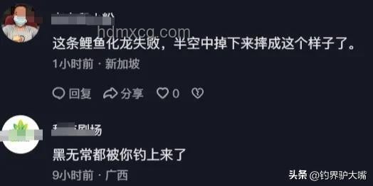 化龙失败？江苏男子钓获近纯黑“龙鳞鲤”价值几何？