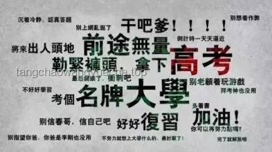 “特马”分手启示录：挣脱药瘾迷雾，重建人生秩序
